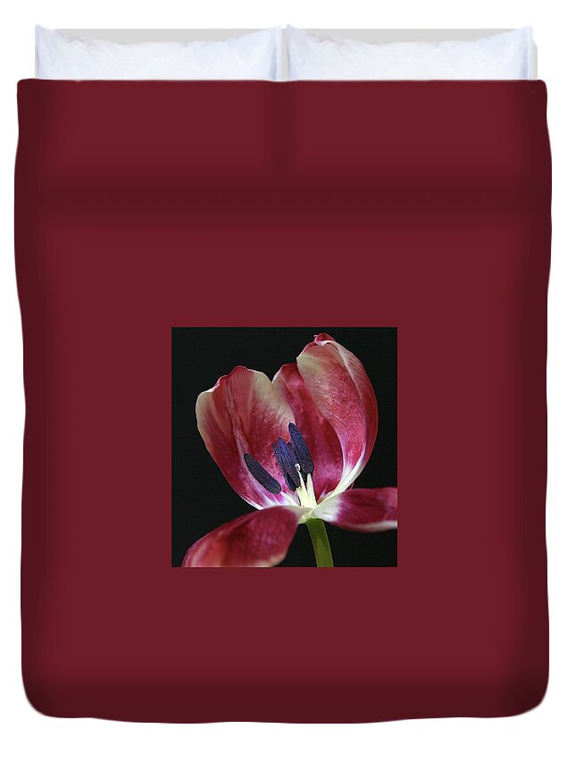 Macro Duvet Cover featuring the photograph Tulip Red 042207 by Julie Powell