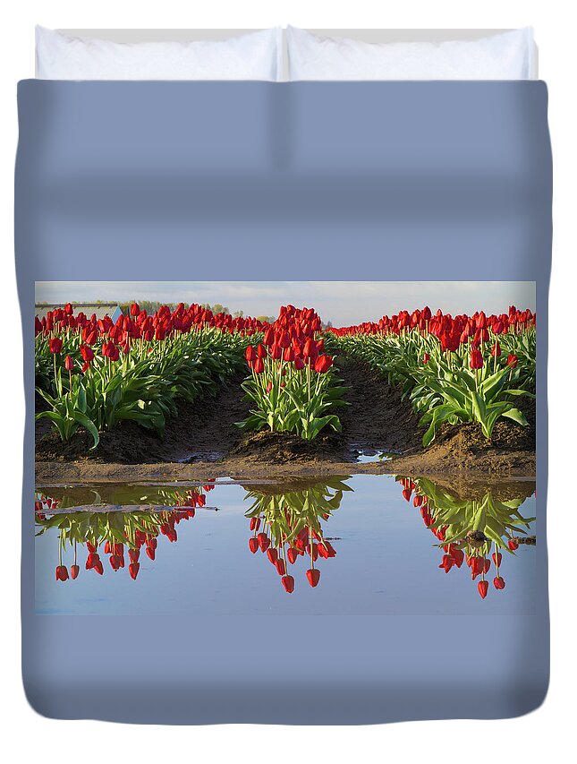 Tulips Duvet Cover featuring the photograph Tulip Reflection by Michael Rauwolf