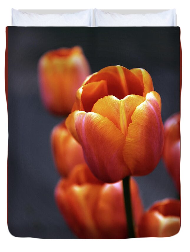 Tulips Duvet Cover featuring the photograph Tulips Aglow by Jessica Jenney