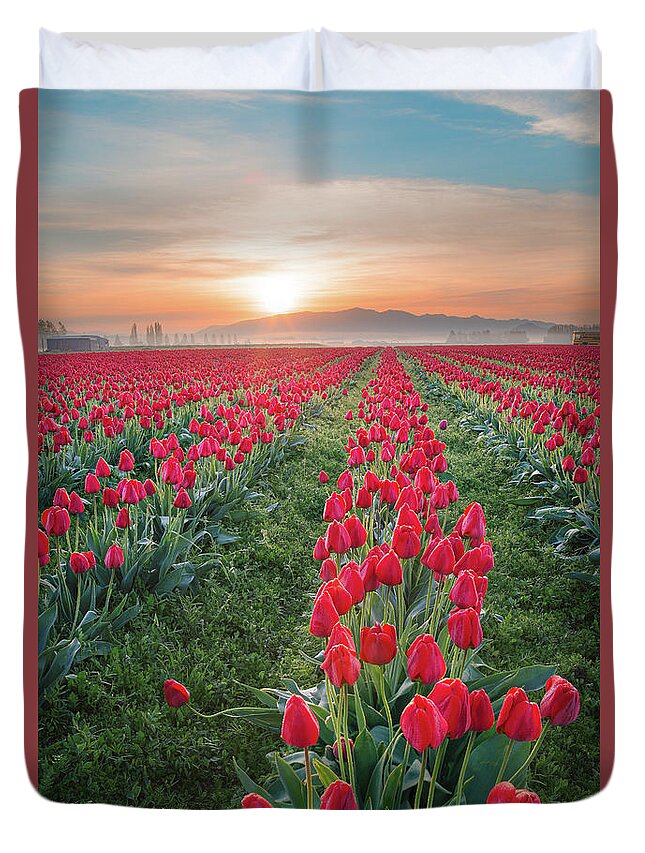 Tulips Duvet Cover featuring the photograph Tulips at Sunrise by Michael Rauwolf