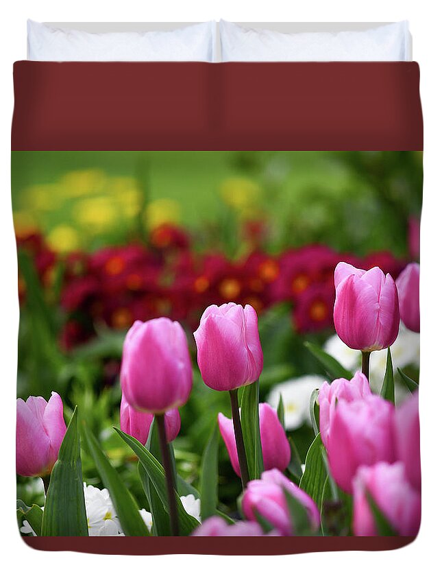 Tulips Duvet Cover featuring the photograph Tulips blooming in the spring sunshine by Andrew Lalchan