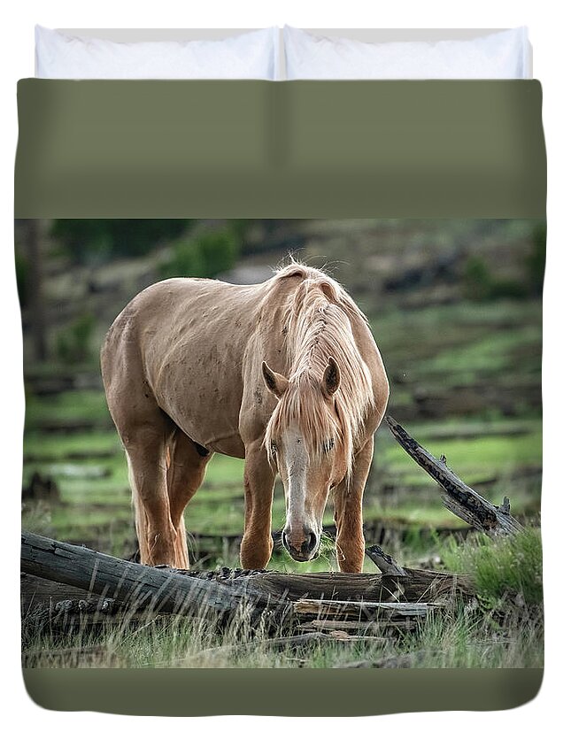 Stallion Duvet Cover featuring the photograph Twilight Grazing. by Paul Martin