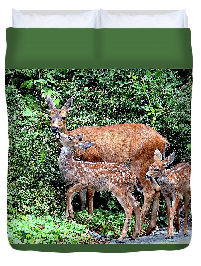 Deer Duvet Cover featuring the photograph Twin Fawns and Mother Deer by Peggy Collins