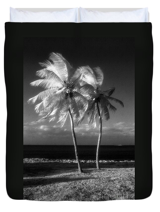 Palm Trees Duvet Cover featuring the photograph Twin Palms by Richard Rizzo