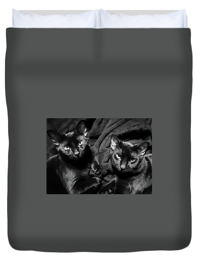 Cats Duvet Cover featuring the photograph Twins by Ally White