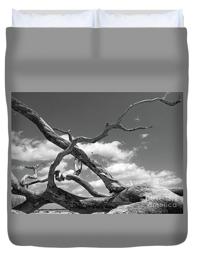 Tree Duvet Cover featuring the photograph Twisted B/W by Mary Haber