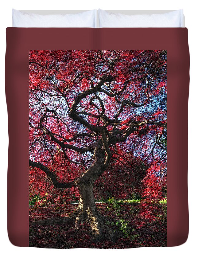 Washington Dc Duvet Cover featuring the photograph Twisted by Robert Fawcett