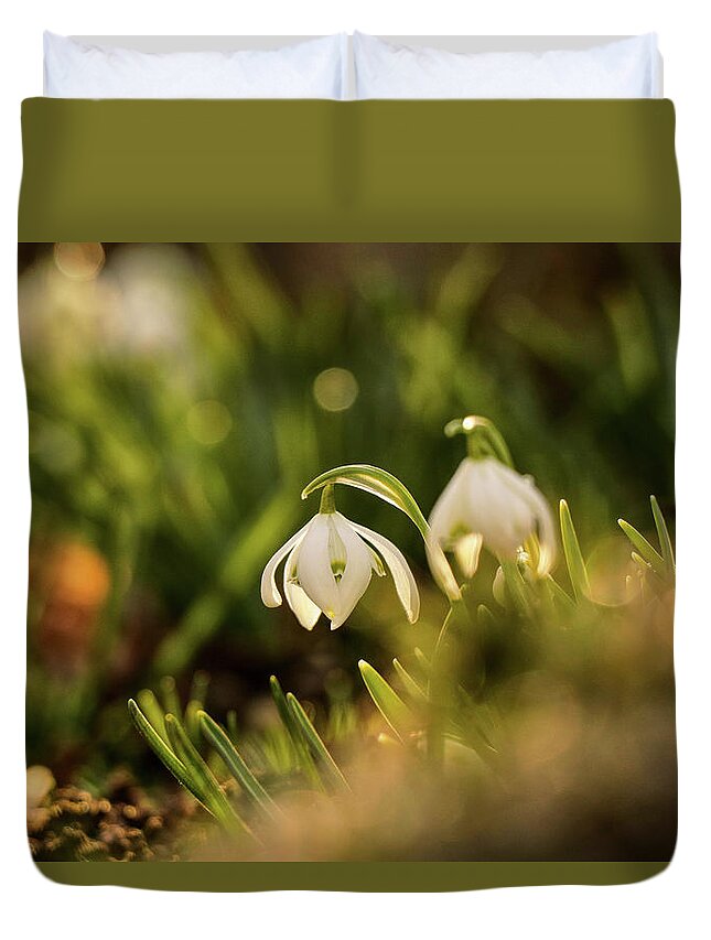 Galanthus Nivalis Duvet Cover featuring the photograph Galanthus nivalis at spring by Vaclav Sonnek