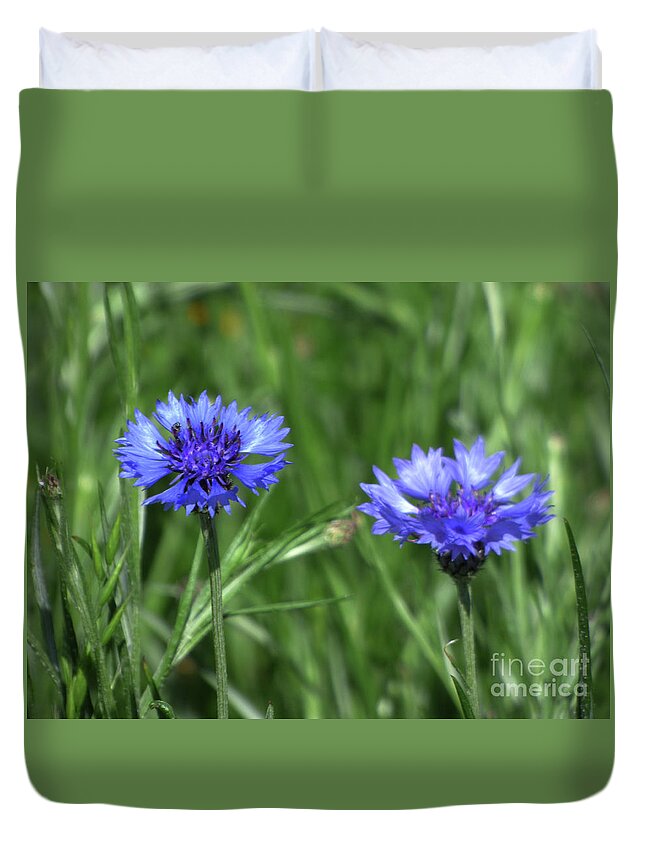 Flowers Duvet Cover featuring the photograph Two Blue Cornflowers by Charles Robinson