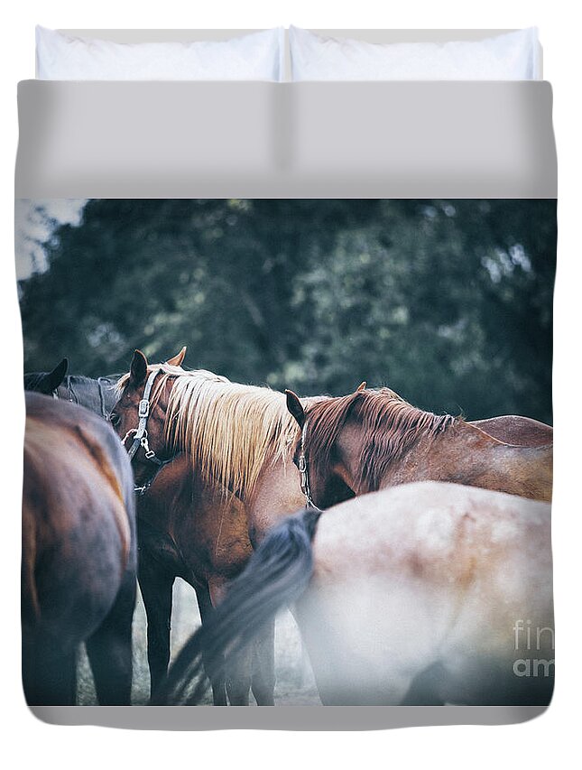 Horses Duvet Cover featuring the photograph Two calm horses by Dimitar Hristov