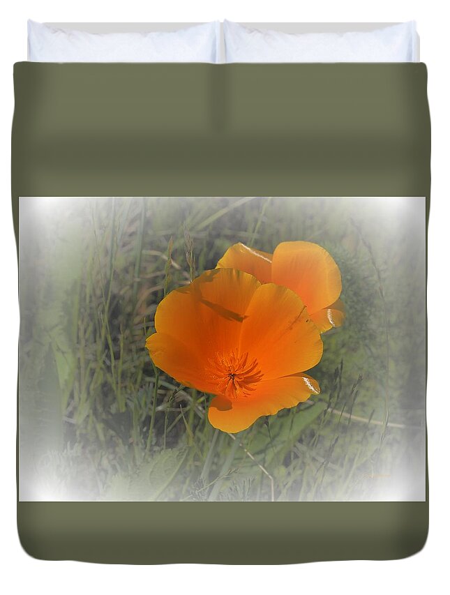 California Duvet Cover featuring the photograph Two Golden Poppies by Richard Thomas