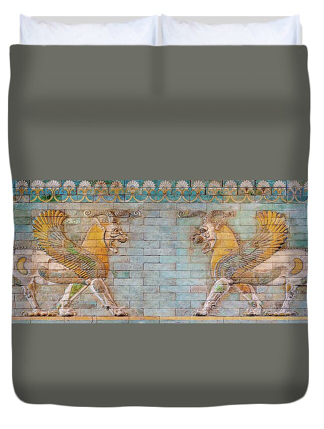 Two Persian Griffins Duvet Cover featuring the photograph Two Persian Griffins 01 by Weston Westmoreland