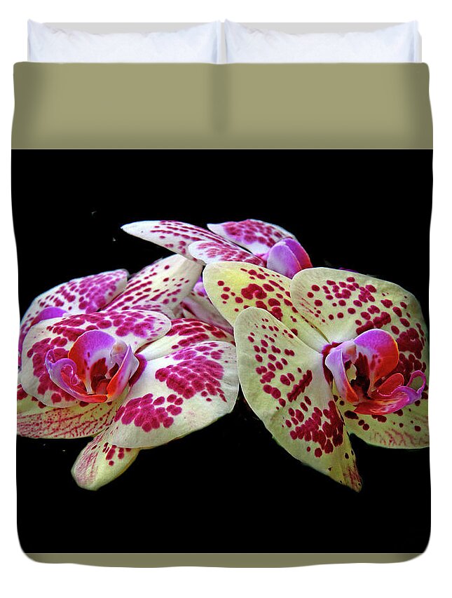 Orchid Duvet Cover featuring the photograph Moth Orchid Trio by Jessica Jenney