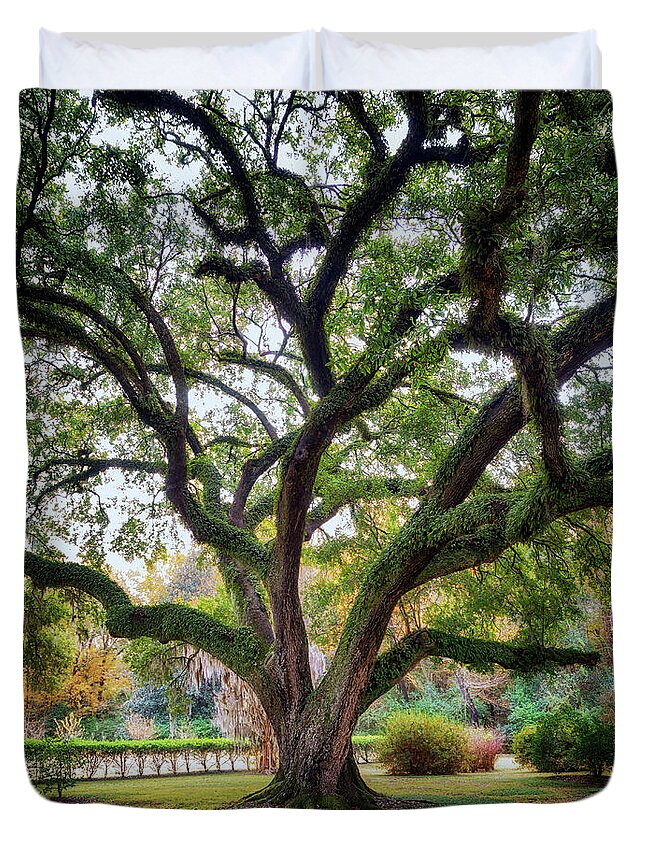 Natchez Duvet Cover featuring the photograph Under the Live Oak Tree by Susan Rissi Tregoning