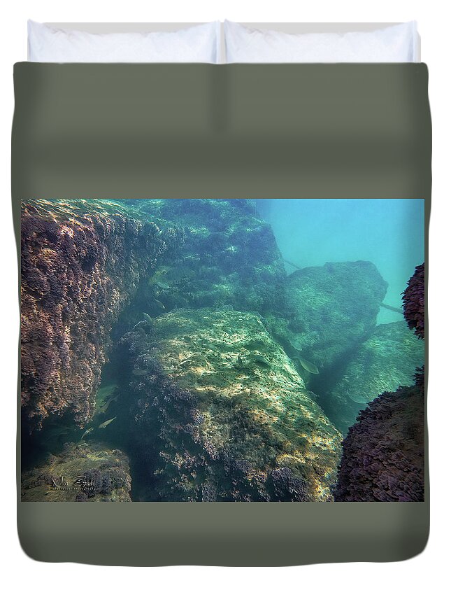 Fish Duvet Cover featuring the photograph Under the pier by Meir Ezrachi