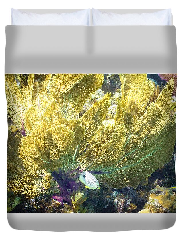 Ocean Duvet Cover featuring the photograph Undercover by Lynne Browne