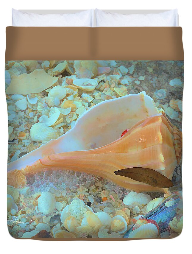 Conch Shell Duvet Cover featuring the photograph Underwater by Alison Belsan Horton