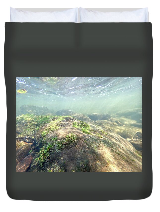 Algae Duvet Cover featuring the photograph Underwater Landscape with Algae - Delaware River by Amelia Pearn