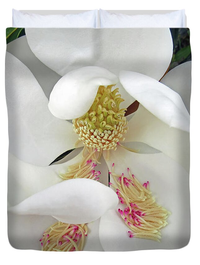 Magnolia Duvet Cover featuring the photograph Unfolding Beauty of Magnolia by Roberta Byram