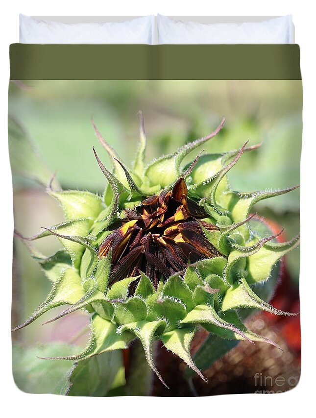 Sunflower Duvet Cover featuring the photograph Unfolding Orange Sunflower Square by Carol Groenen