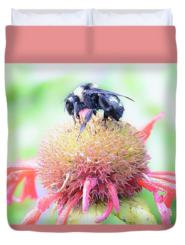 Bee Duvet Cover featuring the photograph Untitled_eeb by Paul Vitko