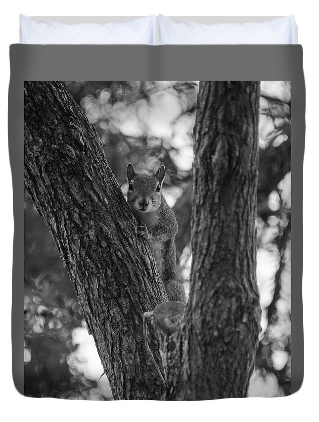 Tree Duvet Cover featuring the photograph Up a tree by Alan Goldberg
