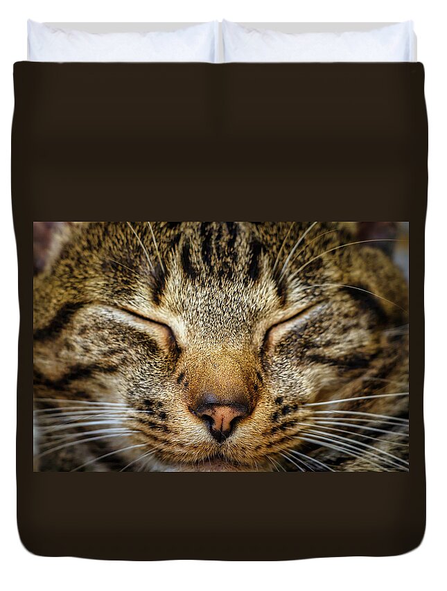 Cat Duvet Cover featuring the photograph Up Close and Personal with Kitty by Rick Deacon