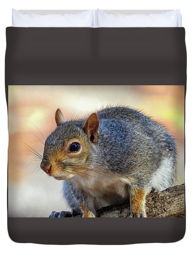 Squirrel Duvet Cover featuring the photograph Up Close by Cathy Kovarik
