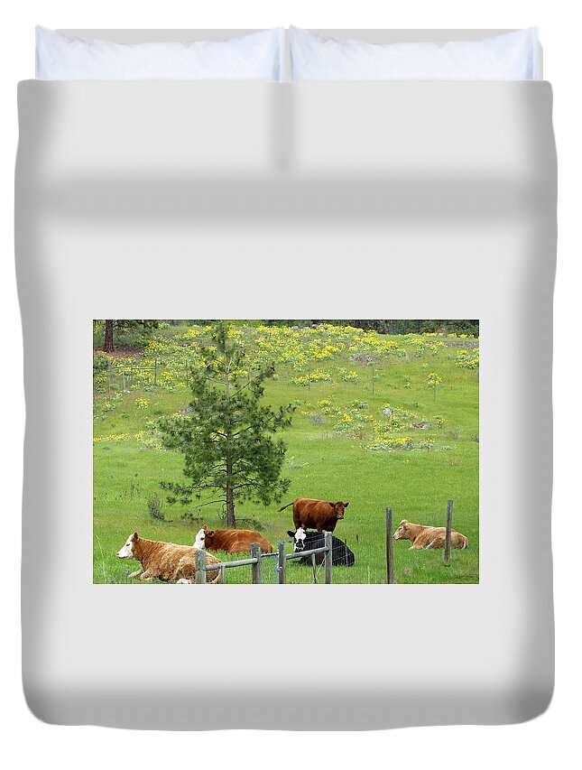Cattle Duvet Cover featuring the photograph Up Country Cattle 1 by Will Borden