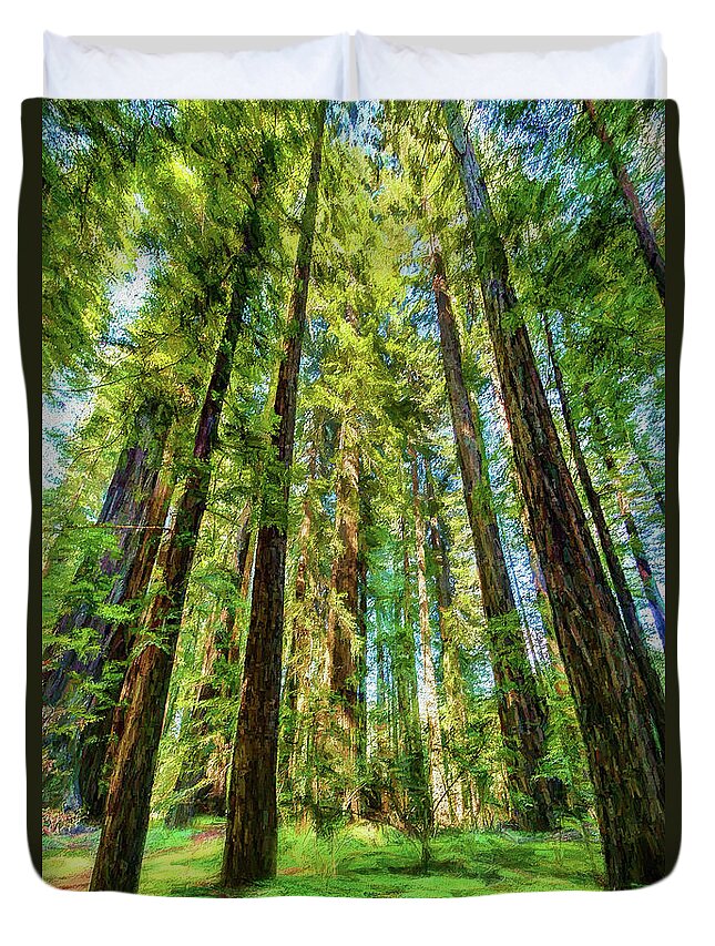 California Duvet Cover featuring the photograph Up Into the California Redwoods ap 120 by Dan Carmichael