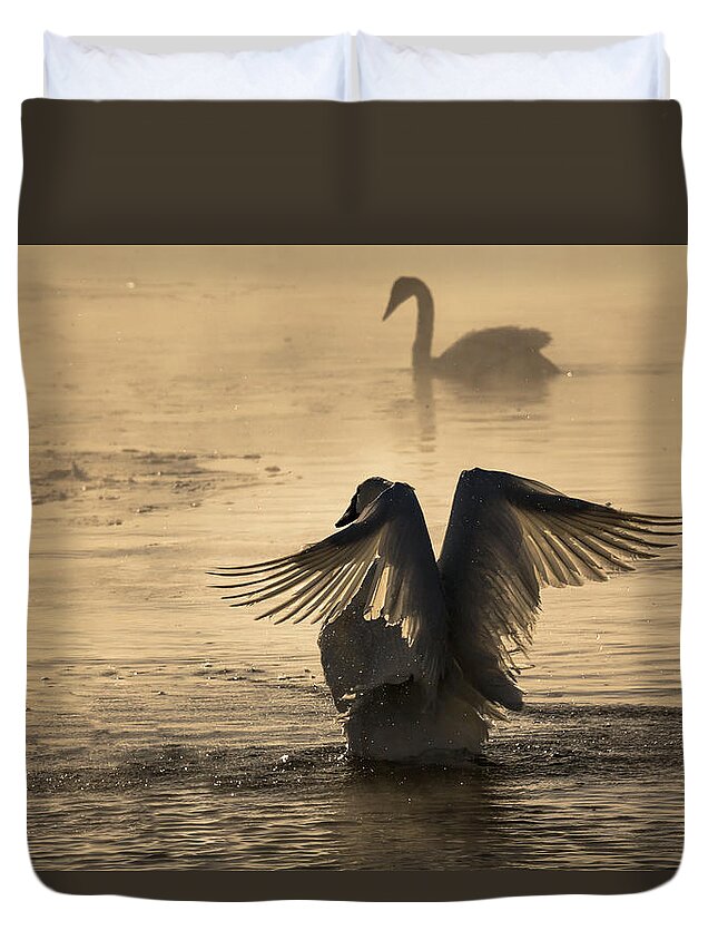 Trumpeter Duvet Cover featuring the photograph V is for Valentine by Penny Meyers
