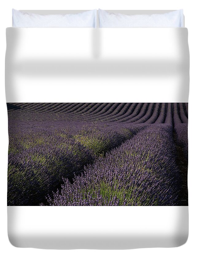 Valensole Plateau Duvet Cover featuring the photograph Valensole Plateau by Rob Hemphill