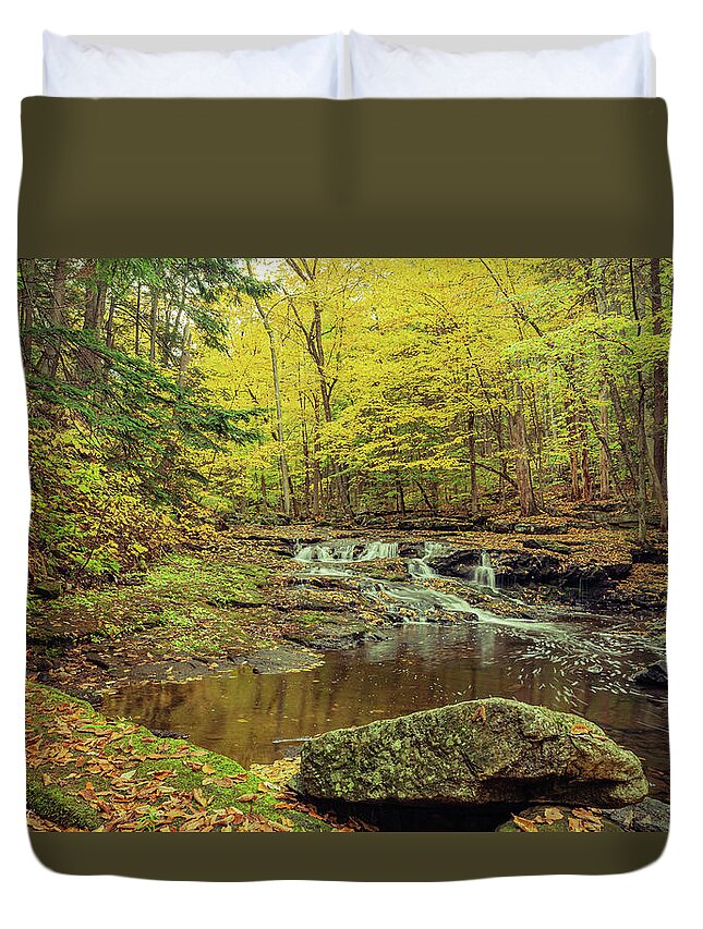 Landscape Duvet Cover featuring the photograph Vaughan Brook in Vaughan Woods by David Lee