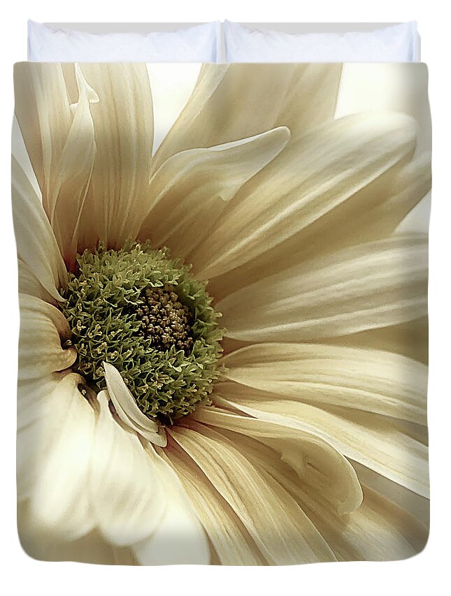 Nature Duvet Cover featuring the photograph Veil of the Sun Creamy by Darlene Kwiatkowski