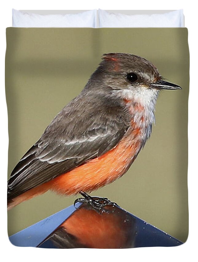 Wildlife Duvet Cover featuring the photograph Vermilion Flycatcher in the Everglades by Meg Rousher