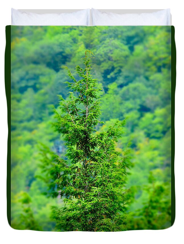 Vermont Duvet Cover featuring the photograph Vermont Evergreen Tree by Debra Banks