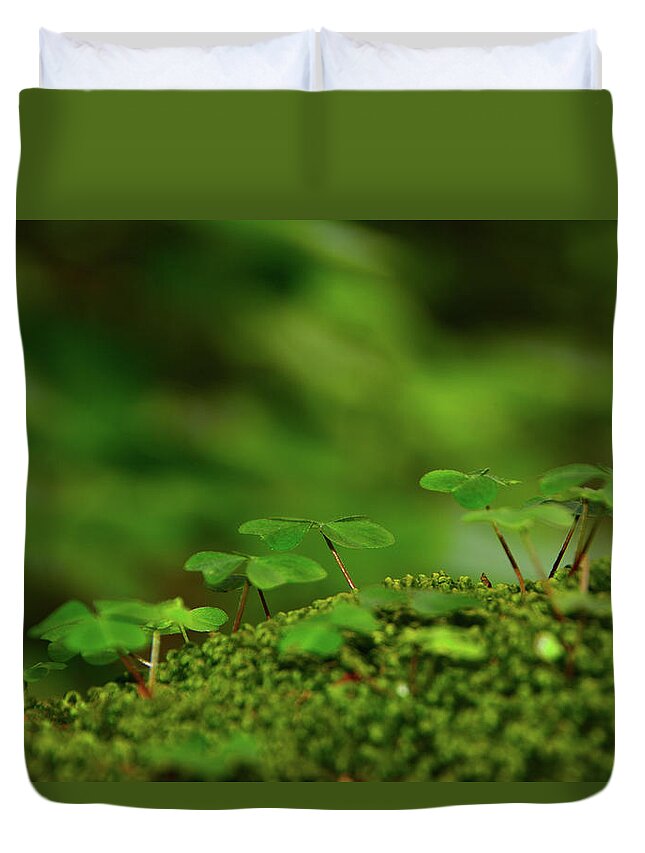 Vermont Spring Green Duvet Cover featuring the photograph Vermont Spring Green by Raymond Salani III