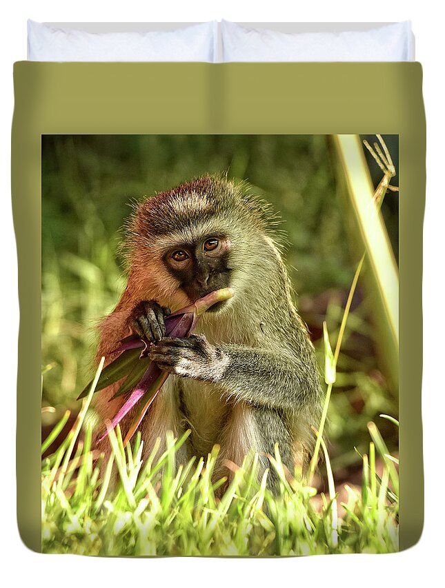 Africa Duvet Cover featuring the photograph Vervet Monkey in Kenya by Mitchell R Grosky