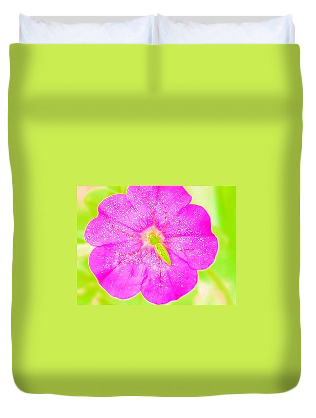 #spidergreen #mandeville #flower #bloom #morningdew #early Summer #south #georgia Purple #green Plant Duvet Cover featuring the photograph Pink Neon Beauty by Belinda Lee
