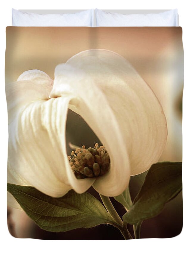 Dogwood; Dogwood Blossom; Blossom; Flower; Vintage; Macro; Close Up; Petals; Sepia; Leaves; Tree; Branches Duvet Cover featuring the photograph Vintage Dogwood on the Verge of Blooming by Tina Uihlein