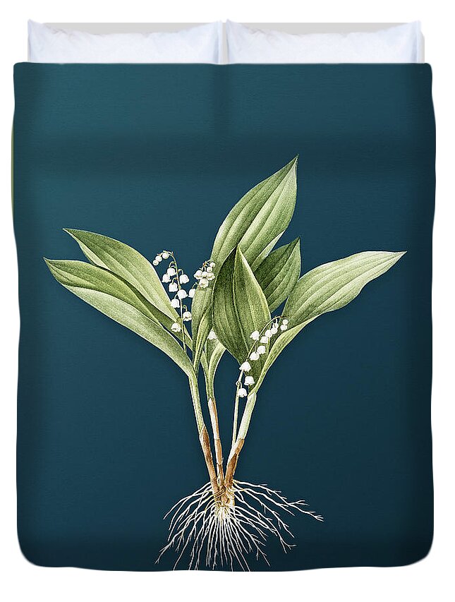Vintage Duvet Cover featuring the painting Vintage Lily of the Valley Botanical Art on Teal Blue n.0599 by Holy Rock Design