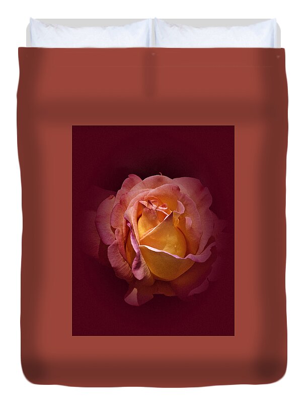 Rose Duvet Cover featuring the photograph Vintage Rose 2020 by Richard Cummings