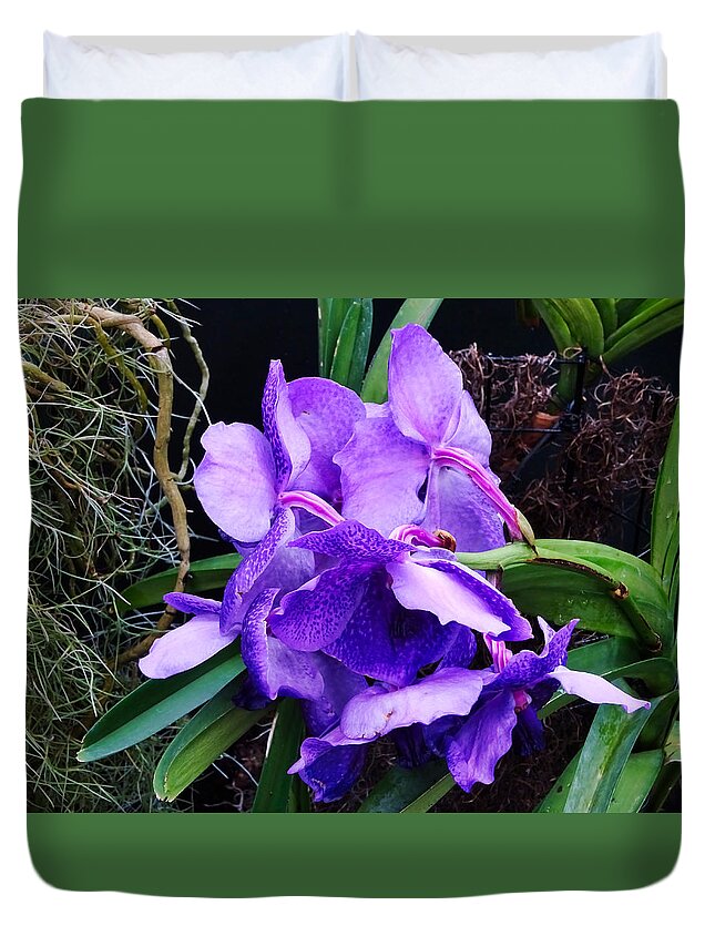 Flower Duvet Cover featuring the photograph Violet Elephant Hiding by Russel Considine