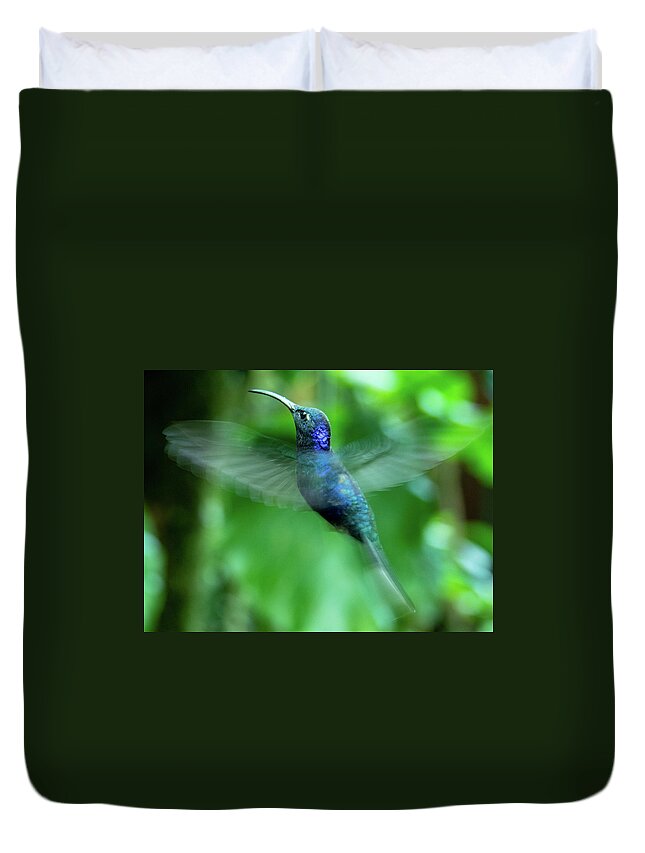 Bird Duvet Cover featuring the photograph Violet Sawbrewing Hummingbird by Leslie Struxness