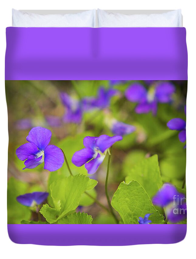 Violets Duvet Cover featuring the photograph Violets by Agnes Caruso