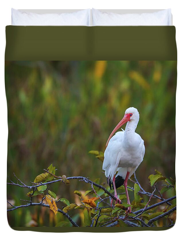 Tricolored Heron Duvet Cover featuring the photograph Wakodahatchee Wetlands Ibis by Juergen Roth