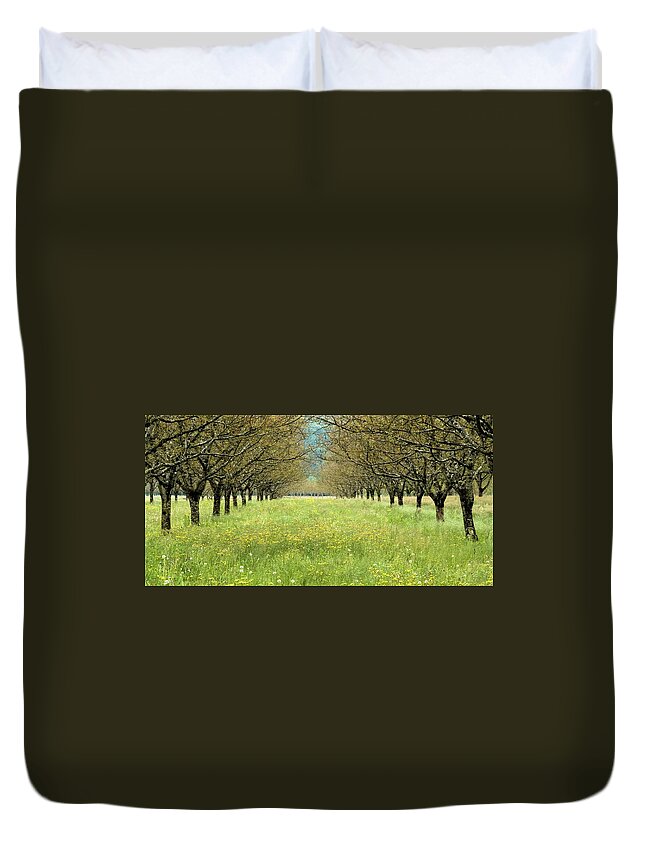 France Duvet Cover featuring the photograph Walnut Avenue, The Dordogne France by Sarah Howard