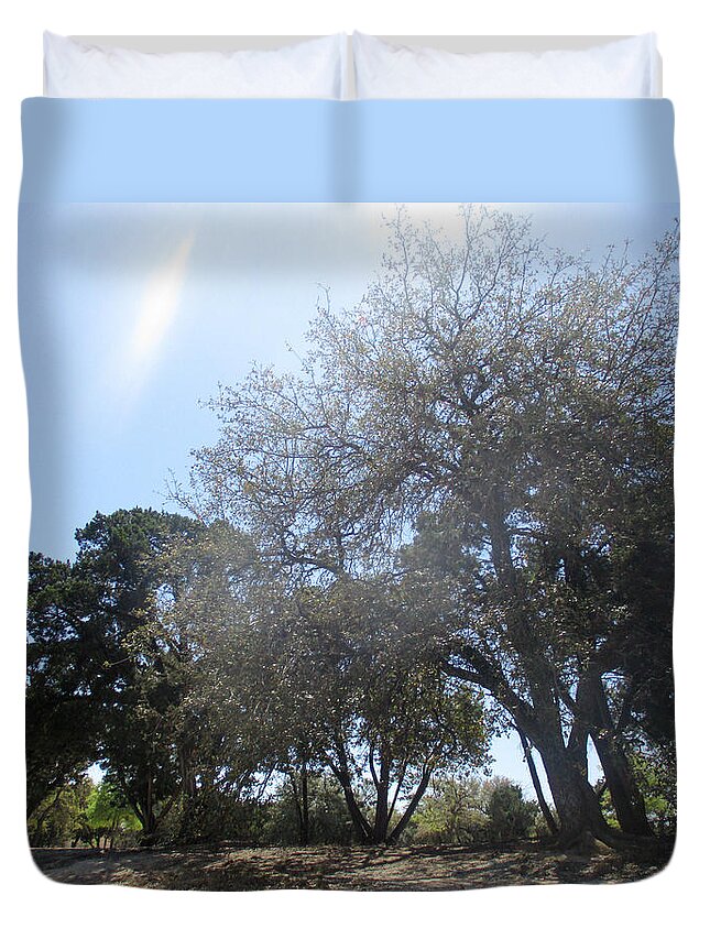 Trees Duvet Cover featuring the photograph Walnut Creek Park Trees by W Craig Photography