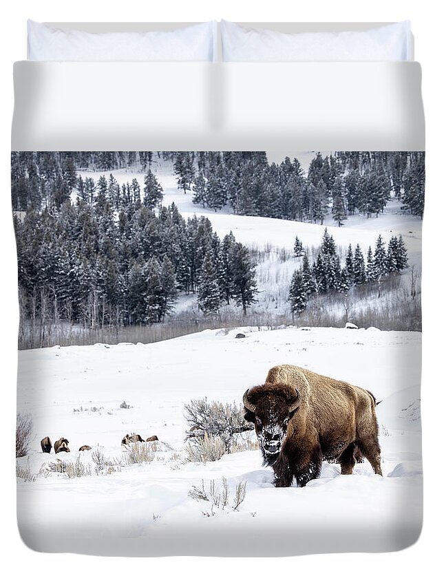 Bison Duvet Cover featuring the photograph Warrior King by Julie Argyle