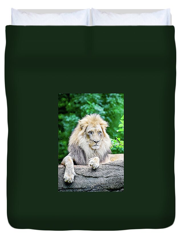 Zoo Duvet Cover featuring the photograph Watchful by Ed Stokes